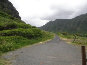 Places around the island