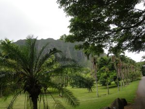 Places around the island