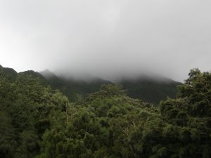 View from Nu-uanu Pali lookout.