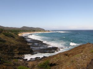 Halona "Blow Hole" Lookout