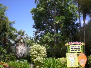 The Honolulu Zoo