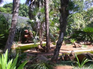 The Honolulu Zoo