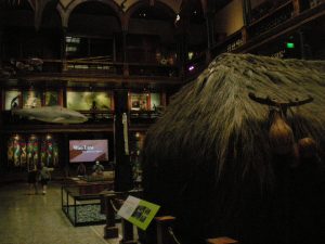 The Bishop Museum
