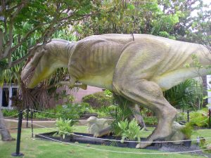 T-Rex at the Bishop Museum
