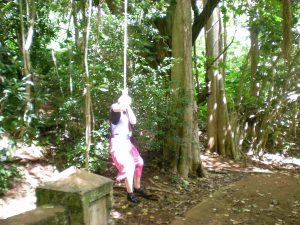 Swinging from a liana
