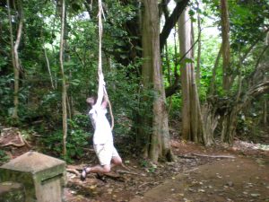 Swinging from a liana