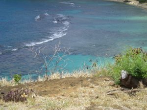 Hanauma Bay