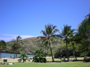 Hanauma Bay