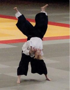'Aikido in action' -show (2010)